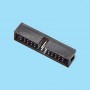 5446 / Conector macho recto polarizado - Paso 2,54 mm